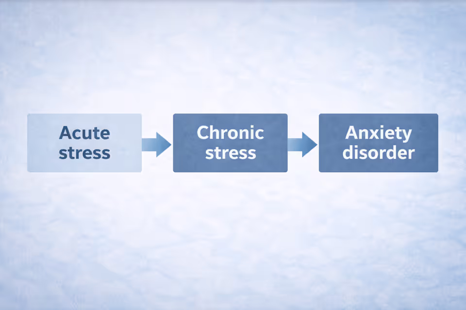 Transition from chronic stress to anxiety disorder
