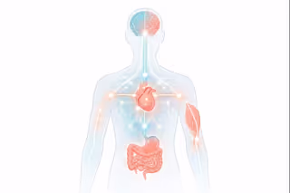Mind-Body Connection Map